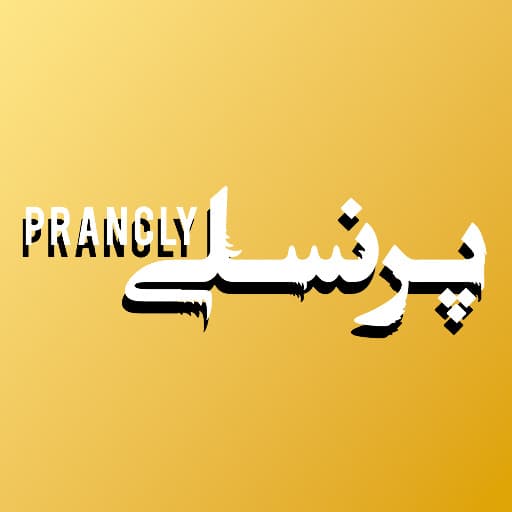 فروشگاه اینترنتی بوتیک پرنسلی